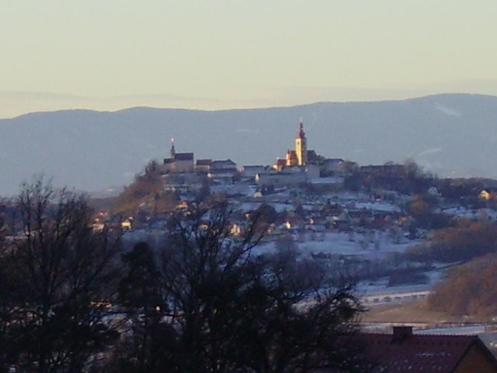Appartement Weingut Schoberhof Bad Gleichenberg Cameră foto
