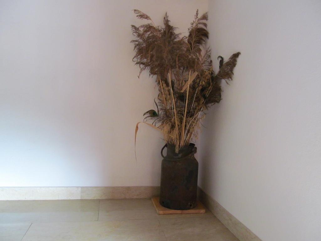 Appartement Weingut Schoberhof Bad Gleichenberg Cameră foto