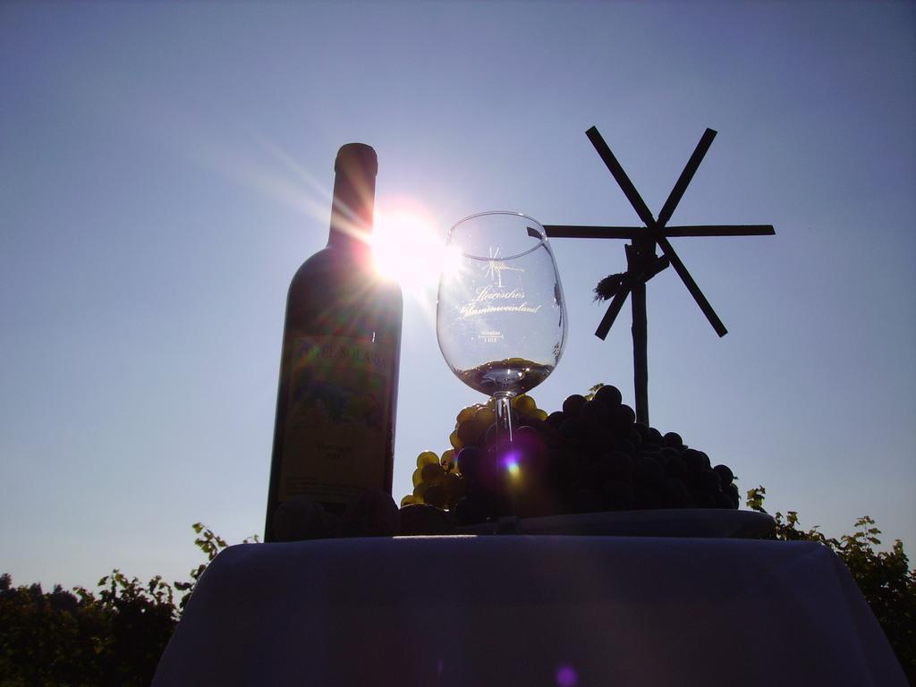 Appartement Weingut Schoberhof Bad Gleichenberg Cameră foto