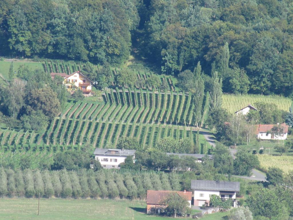 Appartement Weingut Schoberhof Bad Gleichenberg Cameră foto