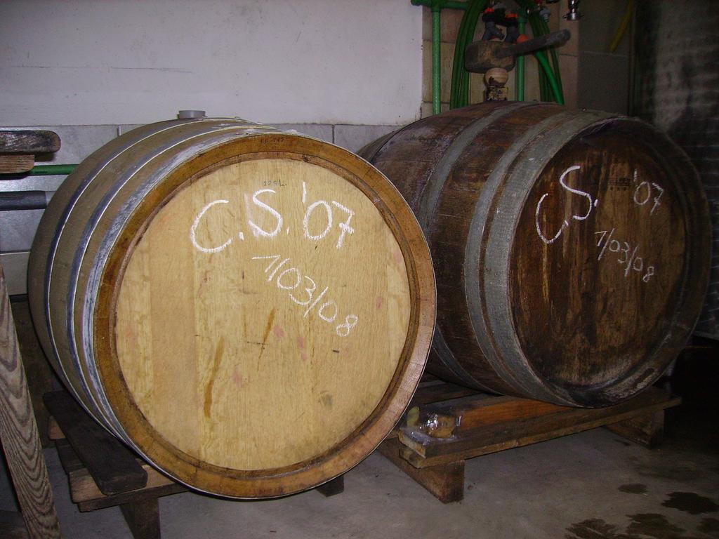 Appartement Weingut Schoberhof Bad Gleichenberg Cameră foto