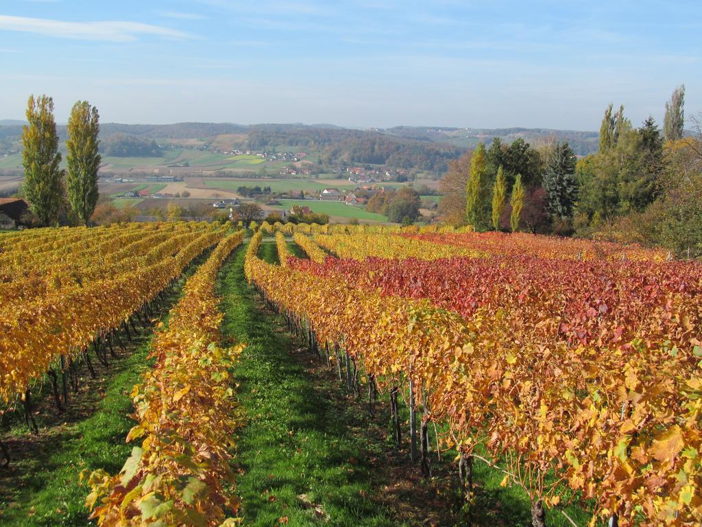Appartement Weingut Schoberhof Bad Gleichenberg Cameră foto