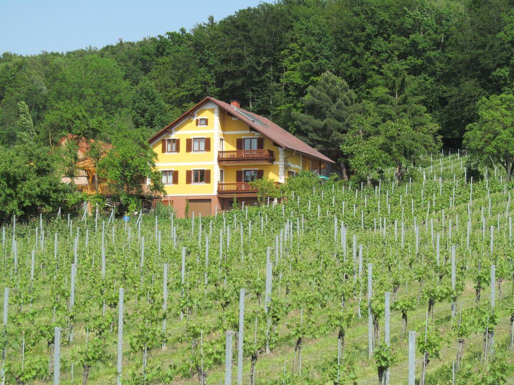 Appartement Weingut Schoberhof Bad Gleichenberg Cameră foto